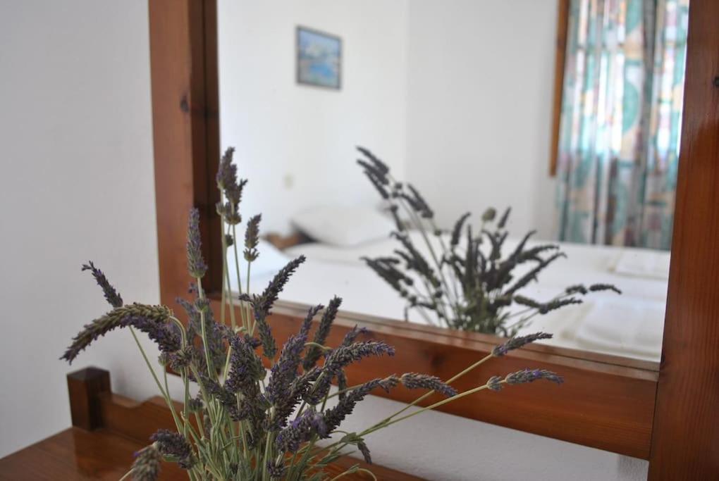 Antigoni Apartments 'Lavender Room' Милатос Экстерьер фото